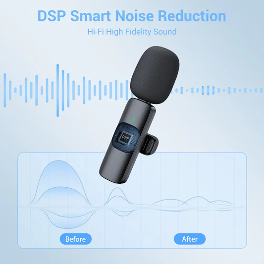 MINI MIC